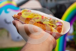 American 100% pure beef hot dog with toppings