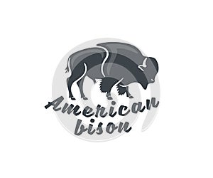 American bison and buffalo, animal, cattle and horned cattle, logo design. Wildlife, horned, ox and bull, vector design