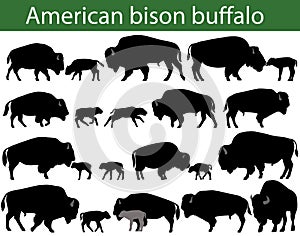 American bison buffalo silhouettes