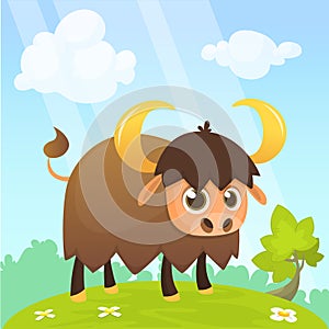 American bison cartoon character. Large bison male flat vector isolated on white. Buffalo icon. Animal illustration