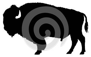 American bison silhouette photo