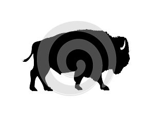 American bison vector silhouette