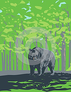 American Black Bear in Shenandoah National Park Virginia WPA Poster Art