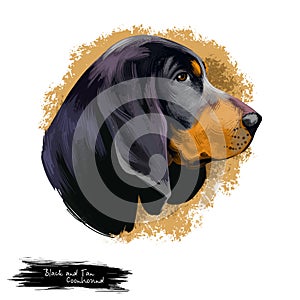 American Black and Tan Coonhound dog digital art illustration isolated on white background. American origin large scenthound dog.
