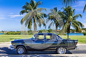 American black vintage car parked under palms near the beach in Varadero Cuba - Serie Cuba Reportage