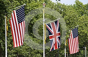 American and British Flags photo