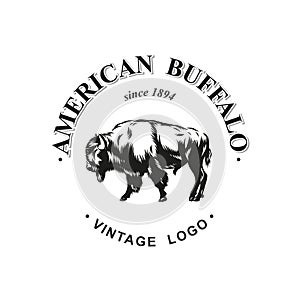 American buffalo logo inked vector