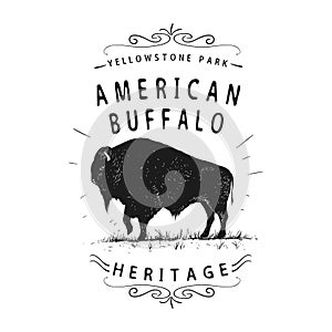 American buffalo