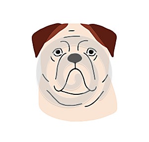 American bulldog head, dog avatar. Animal face, canine portrait. Purebred doggy, cute strong puppy muzzle. Serious funny