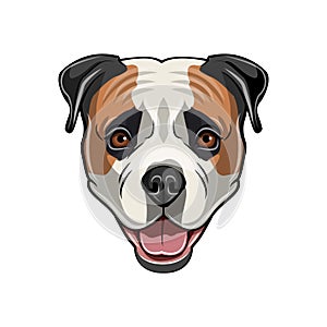 American Bulldog head. Dog portrait. Cute American Bulldog. Dog face. Vector.