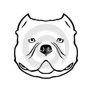 American bully dog emblem. Vector illustration.