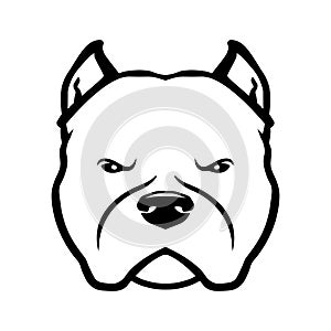 American bully dog logo. Vector illustration. photo