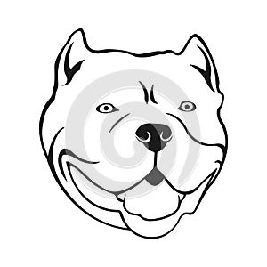 American bully emblem. Cartoon Bully`s dog head.