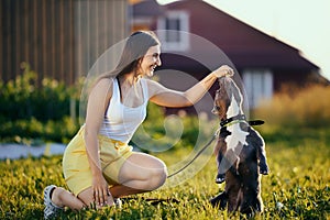 American Bully training in backyard of country house on summer evening, young Caucasian woman plays with her dog on lawn