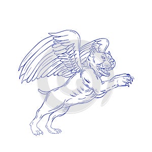 American Bully With Wings Drawing