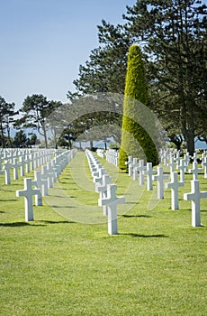 American Cemetary, Normandy, France