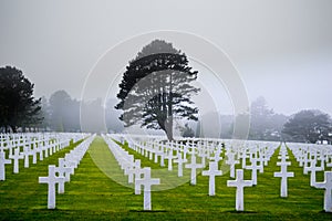 American cemetery in normandy france photo