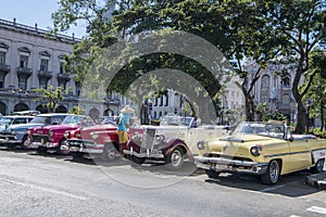 Colorful American classic cars standing in line, Havana, Cuba