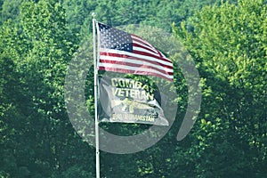American and Combat Veteren flags flying on pole photo