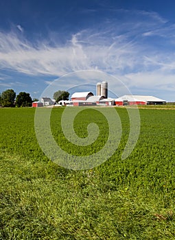 American Country Farm