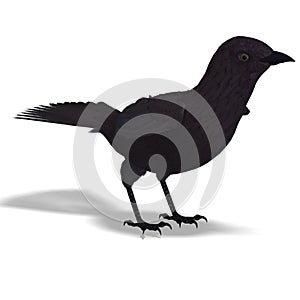 American Crow. 3D rendering with clipping path