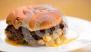 Beef hamburgers on a white plate photo