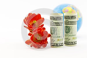 American currency, crimson blossoms, and globe