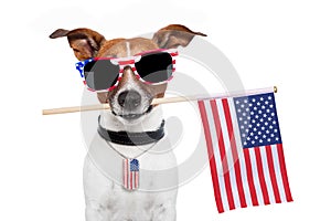 Americano el perro 