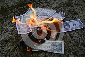 Money to burn photo