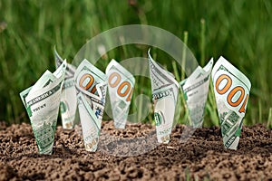 American dollars grow out of the ground like plants against a backdrop of greenery. The concept of investment, passive income,