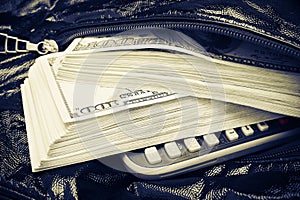 American dollars in handbag