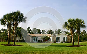 American Dream Home with palm trees and blue doors