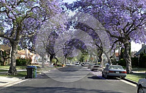 American dream street