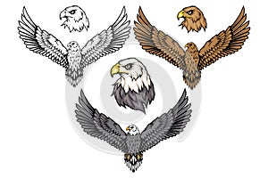 American eagle set. Bald eagle logo. Wild birds drawing. Head of an eagle.