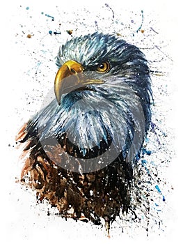 American Eagle watercolor predator wildlife painting photo