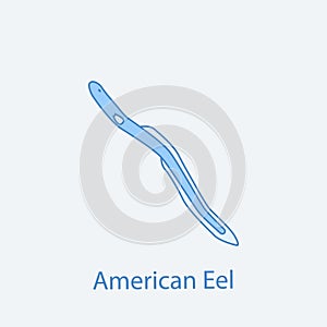 american eel 2 colored line icon. Simple light and dark blue element illustration. american eel concept outline symbol design from