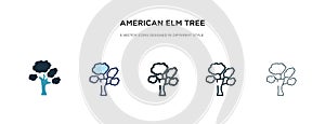American elm tree icon in different style vector illustration. two colored and black american elm tree vector icons designed in