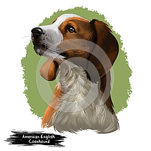 American English Coonhound dog digital art illustration isolated on white background. Redtick Coonhound, breed of