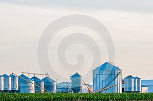 On american farm in kentucky