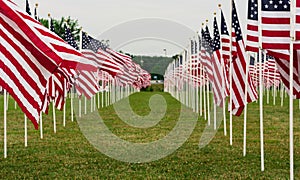 American Field of Flags on Memorial Day