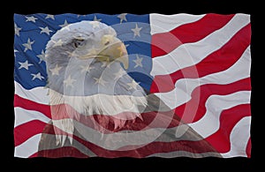 American flag and bald eagle