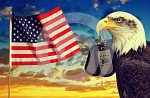 American flag and Bald Eagle holds a dog tags in his beak at sunset.