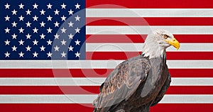 American flag, Bald Eagle, national symbols of USA