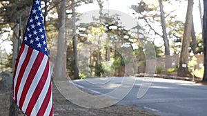 American flag, cypress pine forest, 17-mile drive, California, tourist road trip