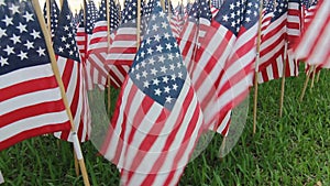 American Flag Decorations