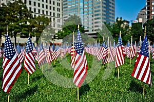 American Flag Display for Holiday