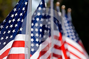 Amerikanisch flagge Anzeige ehren aus Veteranen 