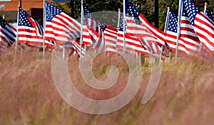 Americký vlajka zobraziť v ctiť z veterány 