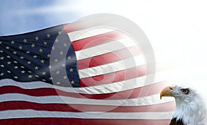 American Flag and Eagle