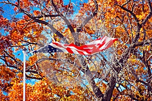 American Flag, Hanging On By a Thread